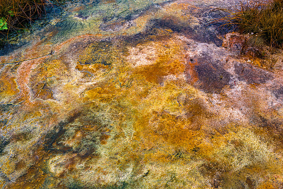 Colorful Bacterial Mats in Hot Spring