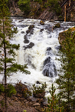 Cascading River in Forest