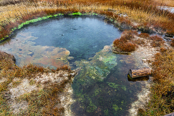 Colorful Hot Spring with Bubbling Water