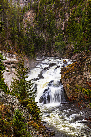 Cascading Waterfall in a Forest