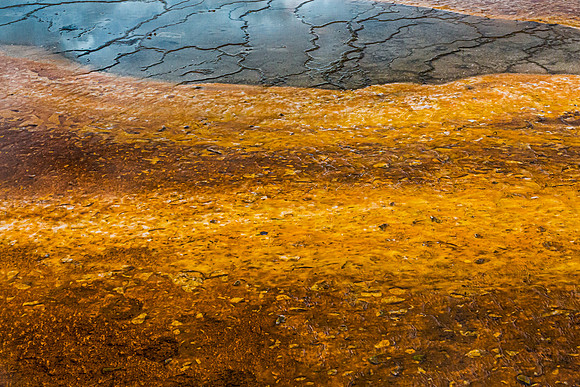 Bacterial Mat Patterns in Hot Spring