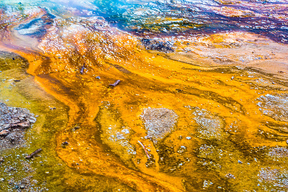 Colorful Bacterial Mats in Geothermal Pool
