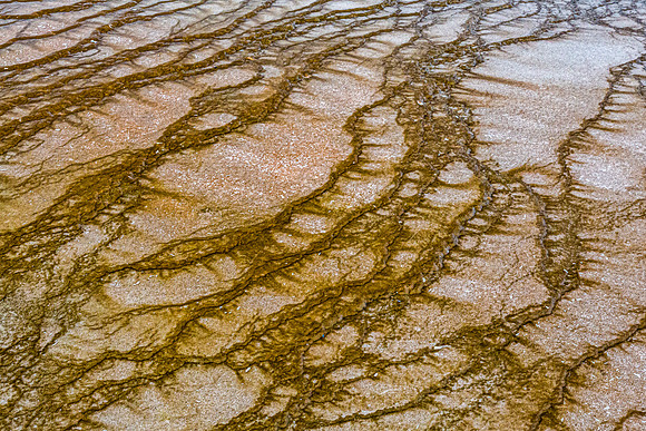 Bacterial Mat Patterns in Thermal Spring
