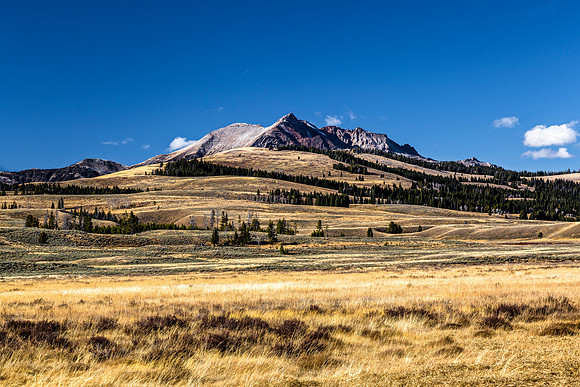 Mountains and Golden Grass Landscape