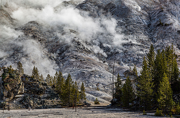 Volcanic Mountain Landscape with Steam and Pine Trees