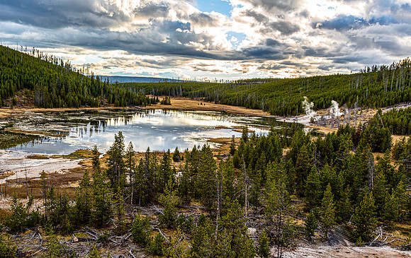 Forest and Lake Landscape with Cloudy Sky