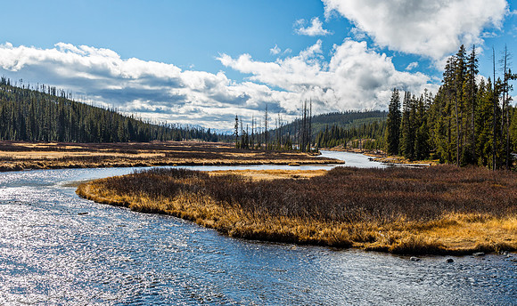 River Meandering Through a Meadow