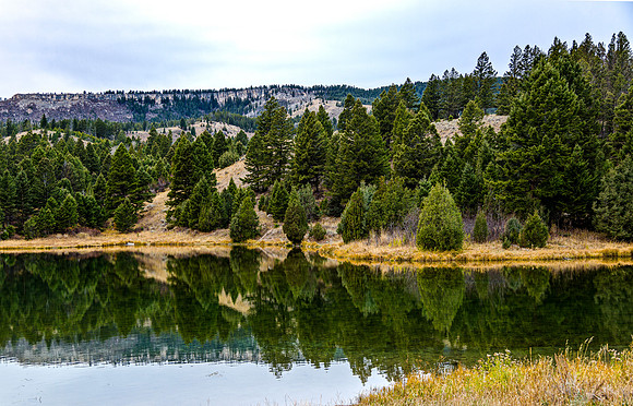 Tranquil Lake with Forest Reflection