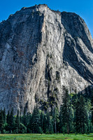 El Capitan Over Yosemite Valley Meadow