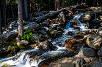Waterfall in Shaded Forest