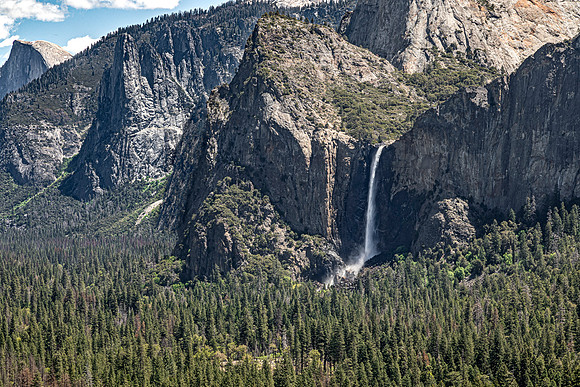 Yosemite Falls and Forest