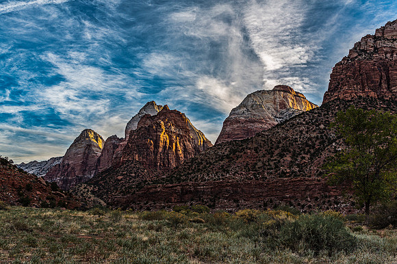 Zion National Park Panorama