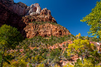 Zion National Park Autumn Landscape