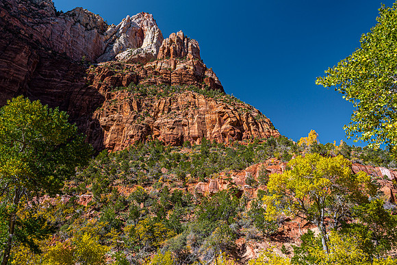 Zion National Park Autumn Landscape