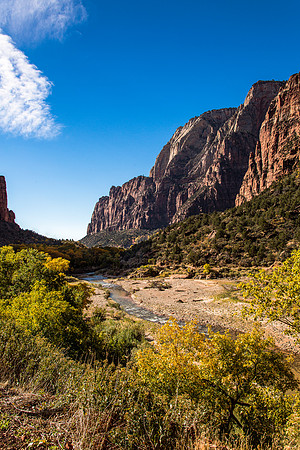 Zion National Park Autumn Landscape