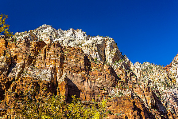 Zion National Park Sandstone Cliffs