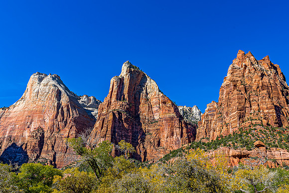 Zion National Park Autumn Landscape
