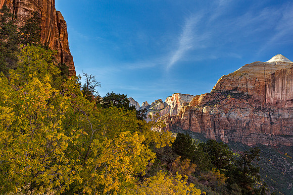 Zion Autumn Landscape