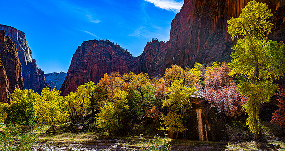Autumn in Zion Canyon