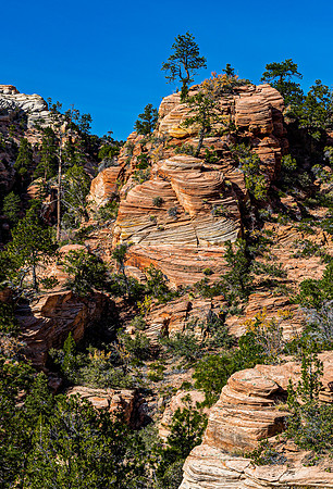 Desert Sandstone Formations
