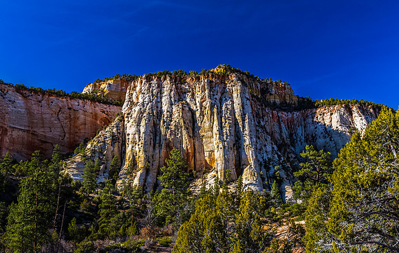 Desert Landscape with Rock Formations