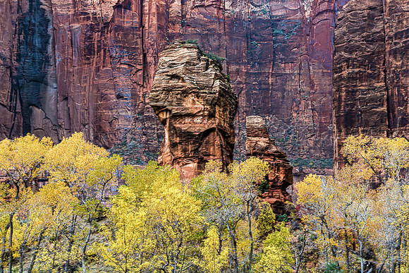 Autumn in Zion National Park
