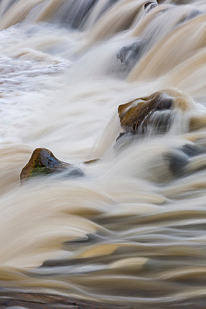 Muddy River Flow