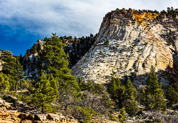 Mountain Landscape with Pines and Snow