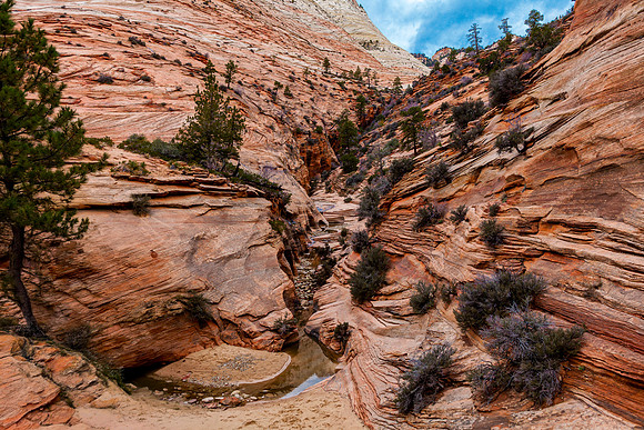 Zion Canyon Narrows
