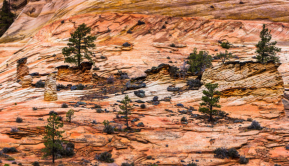Zion National Park Sandstone