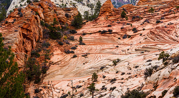 Zion National Park Sandstone Layers