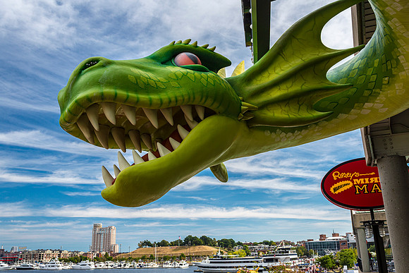 Baltimore Dragon Sculpture