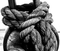 Ropes on Post