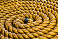 Coiled Rope Texture