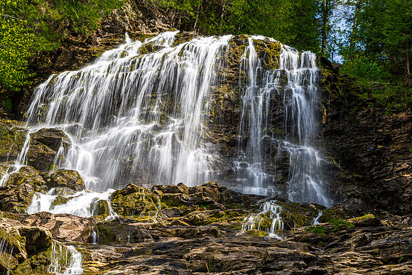Cascading Waterfall in Forest