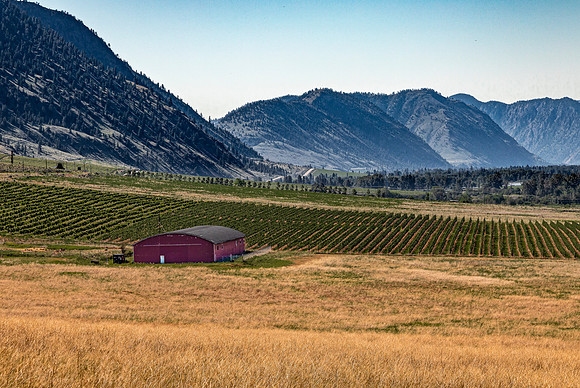 Barn, Vineyards, and Mountains