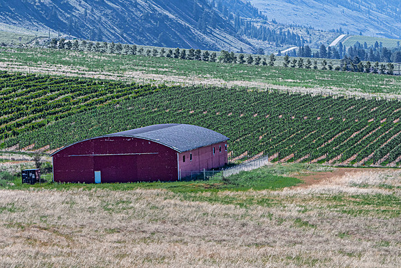 Red Barn and Vineyard