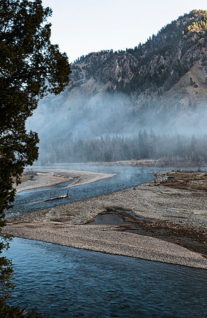 Braided River Valley Mist