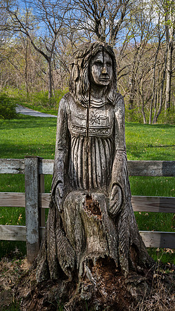 Wooden Figure Sculpture in Park