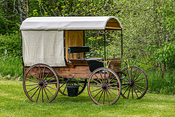 Vintage Horse-Drawn Carriage