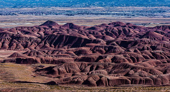 Arizona Badlands Landscape