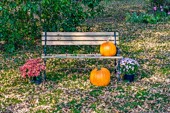 Autumn Decor in Rush County