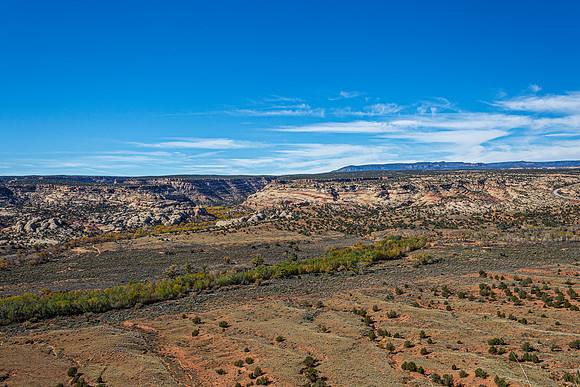 Desert Landscape with Greenery