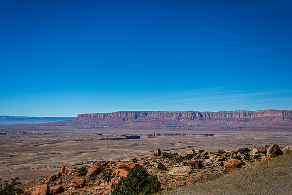 Southwest Desert Landscape