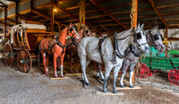 Stage Coach