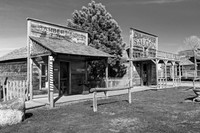 Saloon & Barber Shop